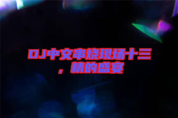 DJ中文串燒現(xiàn)場(chǎng)十三，精的盛宴
