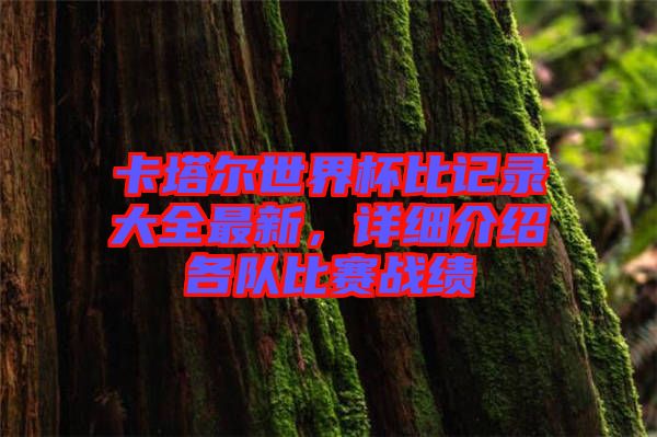 卡塔爾世界杯比記錄大全最新，詳細介紹各隊比賽戰(zhàn)績