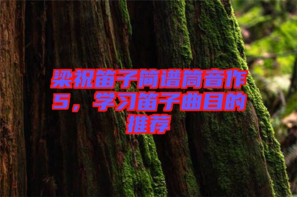 梁祝笛子簡譜筒音作5，學(xué)習(xí)笛子曲目的推薦
