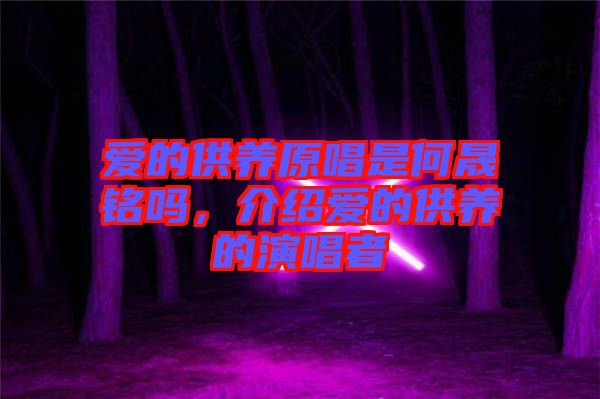 愛的供養(yǎng)原唱是何晟銘嗎，介紹愛的供養(yǎng)的演唱者