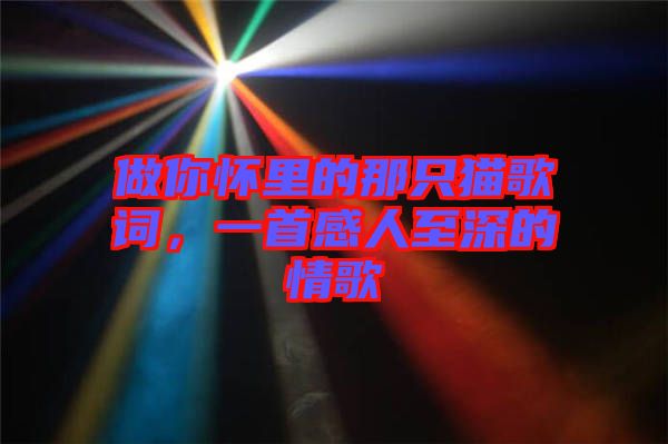 做你懷里的那只貓歌詞，一首感人至深的情歌