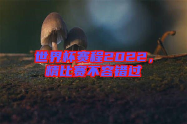 世界杯賽程2022，精比賽不容錯(cuò)過