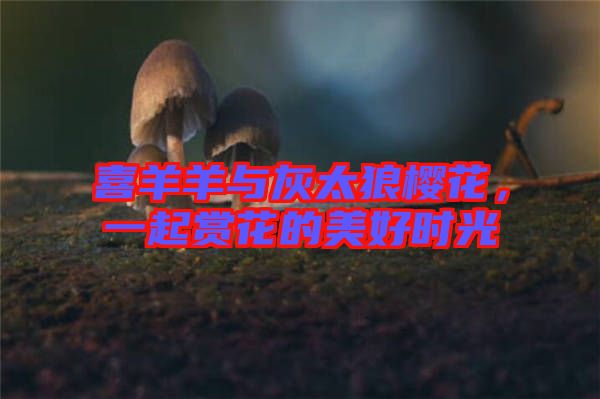 喜羊羊與灰太狼櫻花，一起賞花的美好時光