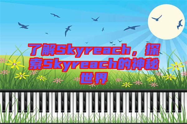 了解Skyreach，探索Skyreach的神秘世界