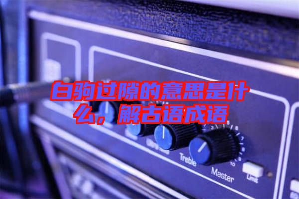 白駒過隙的意思是什么，解古語成語