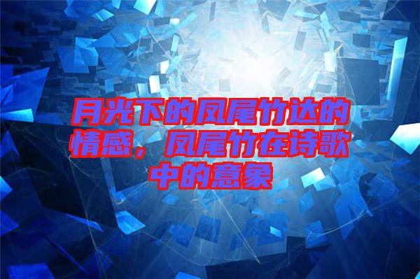 月光下的鳳尾竹達(dá)的情感，鳳尾竹在詩歌中的意象
