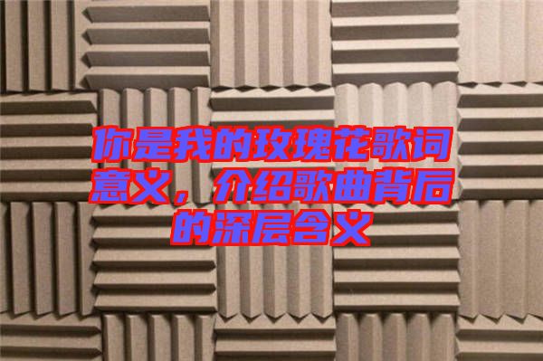 你是我的玫瑰花歌詞意義，介紹歌曲背后的深層含義