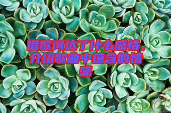 借歌詞達了什么感情，介紹歌曲中蘊含的情感