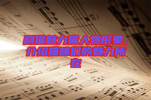 劇貓魅力貓人物形象，介紹貓咪們的魅力所在