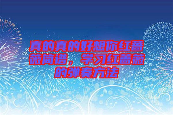 真的真的好想你紅薔薇簡(jiǎn)譜，學(xué)習(xí)紅薔薇的彈奏方法