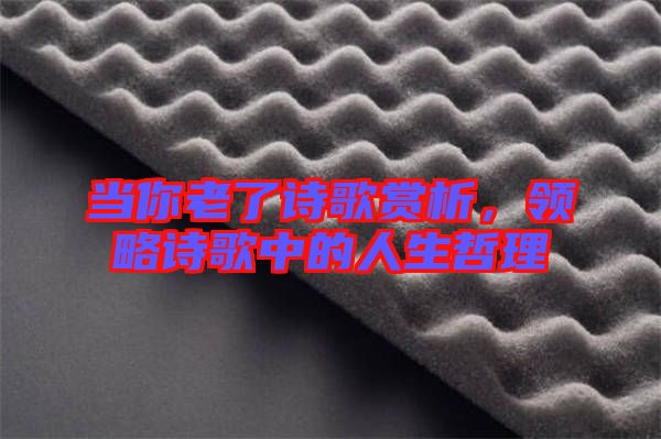 當(dāng)你老了詩歌賞析，領(lǐng)略詩歌中的人生哲理