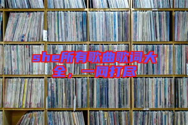 she所有歌曲歌詞大全，一網(wǎng)打盡