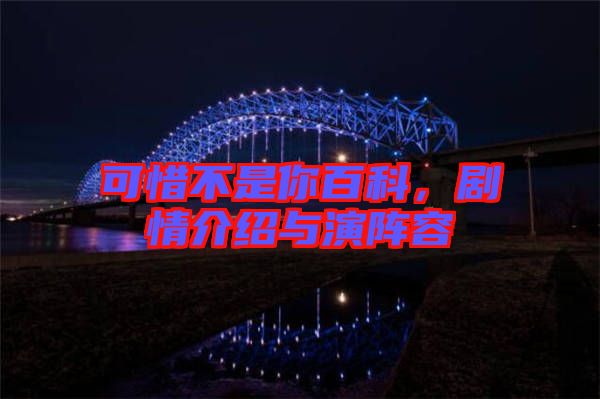 可惜不是你百科，劇情介紹與演陣容