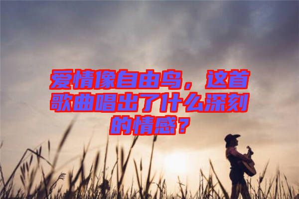 愛(ài)情像自由鳥(niǎo)，這首歌曲唱出了什么深刻的情感？