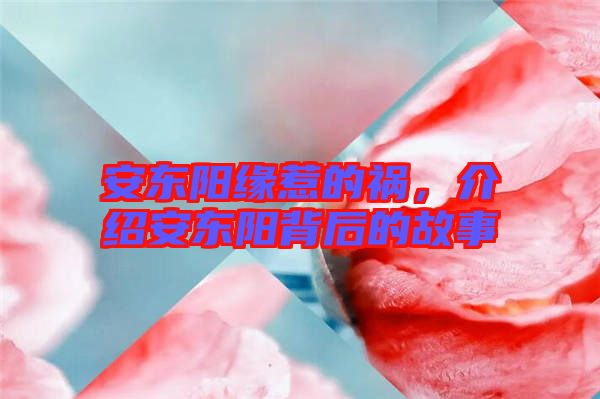 安東陽緣惹的禍，介紹安東陽背后的故事