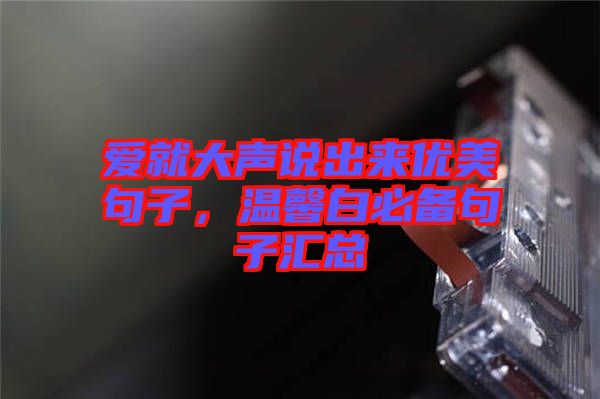 愛(ài)就大聲說(shuō)出來(lái)優(yōu)美句子，溫馨白必備句子匯總