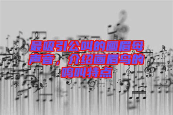 最吸引公叫的畫(huà)眉母聲音，介紹畫(huà)眉鳥(niǎo)的鳴叫特點(diǎn)
