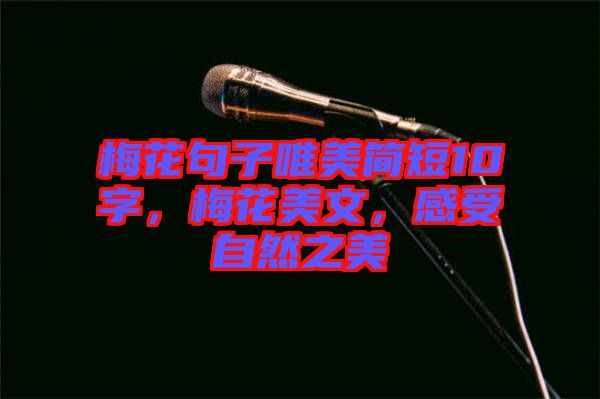 梅花句子唯美簡(jiǎn)短10字，梅花美文，感受自然之美