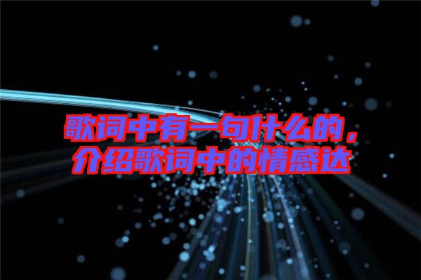 歌詞中有一句什么的，介紹歌詞中的情感達