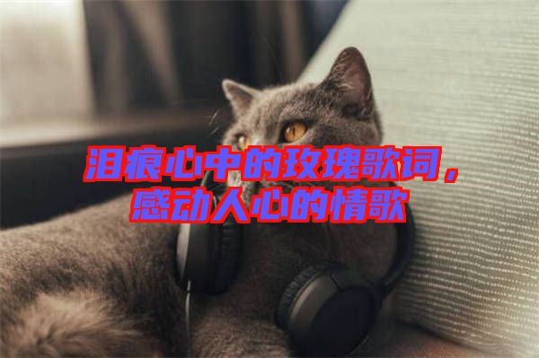 淚痕心中的玫瑰歌詞，感動人心的情歌