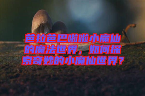 芭拉芭巴啦啦小魔仙的魔法世界，如何探索奇妙的小魔仙世界？