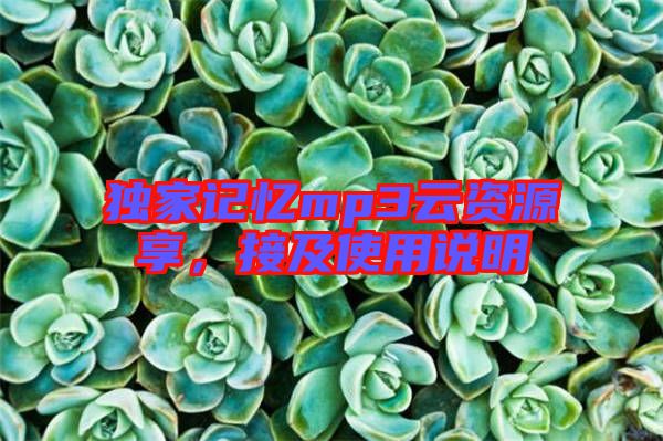 獨(dú)家記憶mp3云資源享，接及使用說明