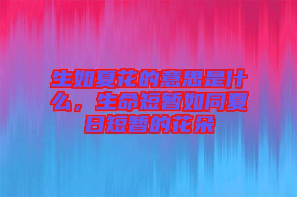 生如夏花的意思是什么，生命短暫如同夏日短暫的花朵