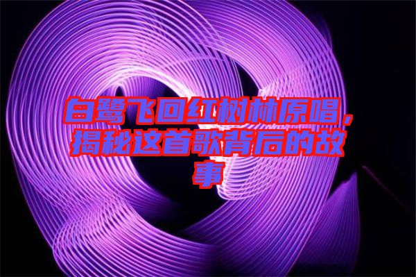 白鷺飛回紅樹(shù)林原唱，揭秘這首歌背后的故事