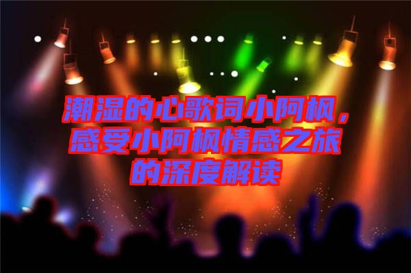 潮濕的心歌詞小阿楓，感受小阿楓情感之旅的深度解讀