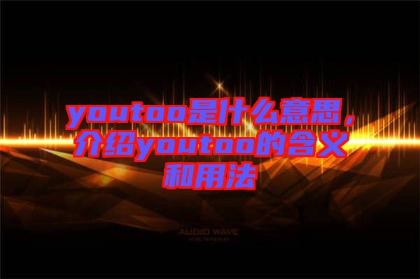youtoo是什么意思，介紹youtoo的含義和用法