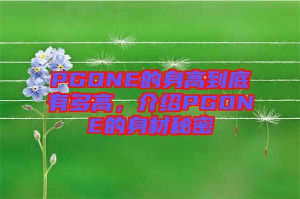 PGONE的身高到底有多高，介紹PGONE的身材秘密