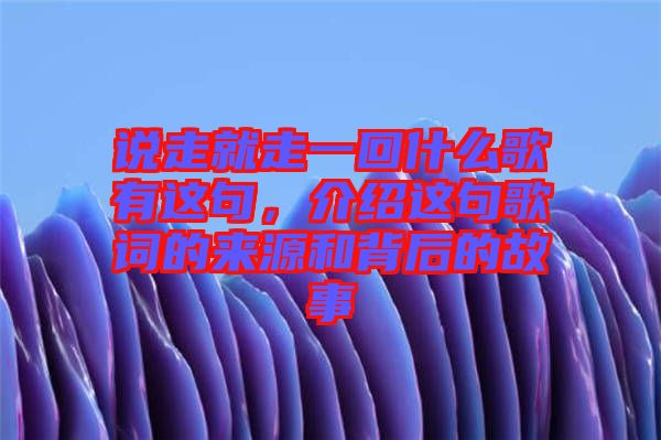 說走就走一回什么歌有這句，介紹這句歌詞的來源和背后的故事