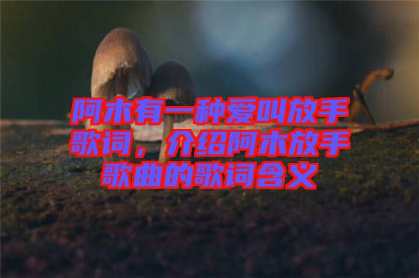 阿木有一種愛叫放手歌詞，介紹阿木放手歌曲的歌詞含義