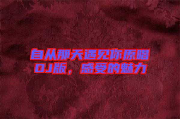 自從那天遇見你原唱DJ版，感受的魅力
