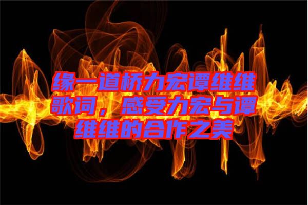 緣一道橋力宏譚維維歌詞，感受力宏與譚維維的合作之美