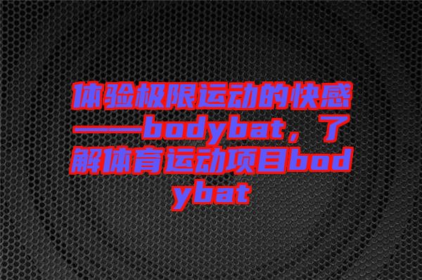 體驗極限運動的快感——bodybat，了解體育運動項目bodybat