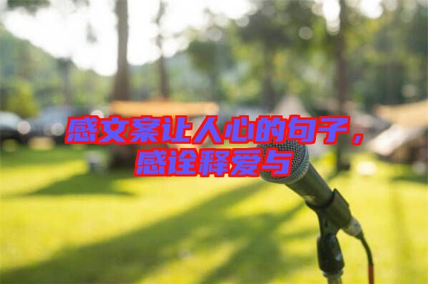 感文案讓人心的句子，感詮釋愛(ài)與