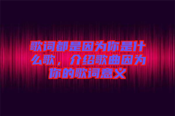 歌詞都是因?yàn)槟闶鞘裁锤?，介紹歌曲因?yàn)槟愕母柙~意義