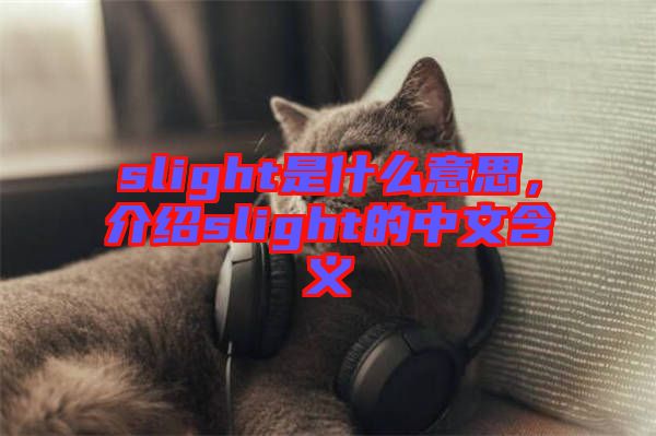 slight是什么意思，介紹slight的中文含義