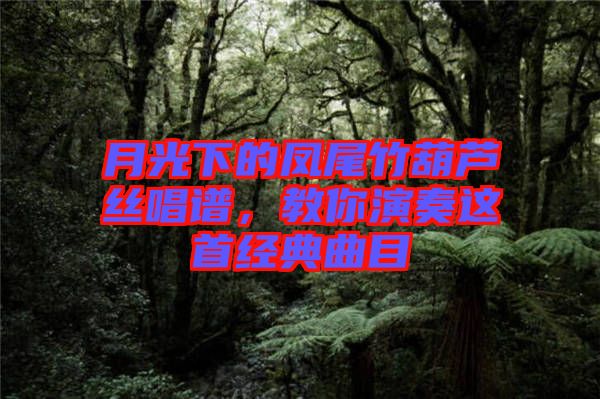 月光下的鳳尾竹葫蘆絲唱譜，教你演奏這首經(jīng)典曲目