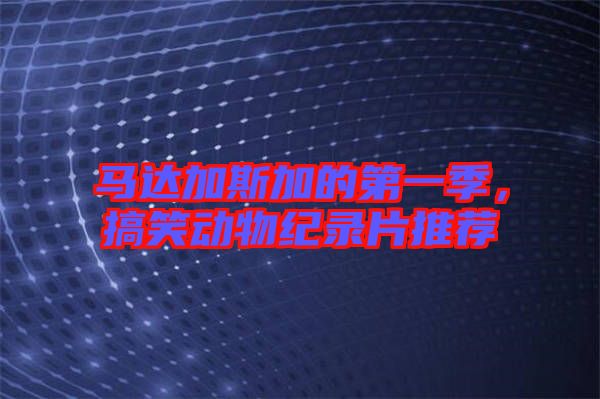 馬達(dá)加斯加的第一季，搞笑動(dòng)物紀(jì)錄片推薦