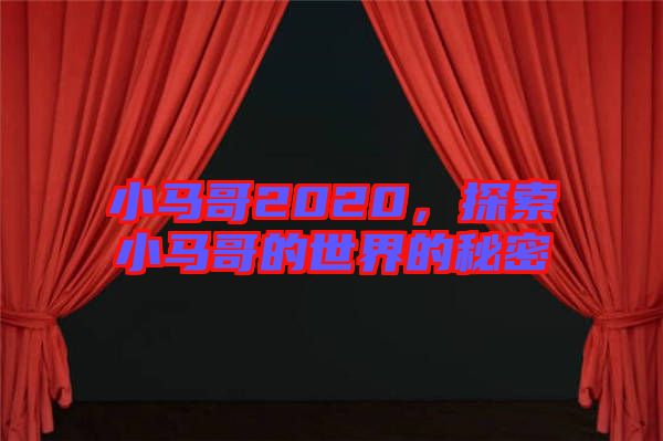 小馬哥2020，探索小馬哥的世界的秘密