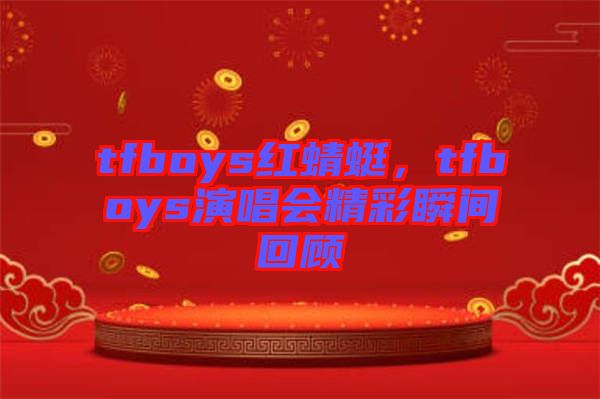 tfboys紅蜻蜓，tfboys演唱會精彩瞬間回顧