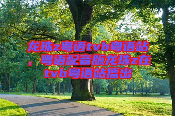 龍珠z粵語tvb粵語站，粵語配音版龍珠z在tvb粵語站播出