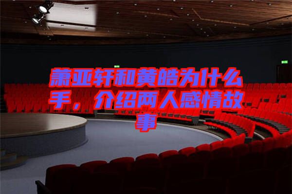 蕭亞軒和黃皓為什么手，介紹兩人感情故事