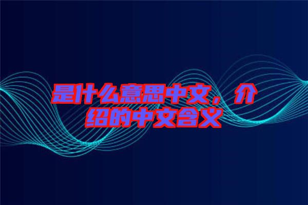 是什么意思中文，介紹的中文含義