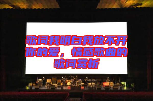 歌詞我明白我放不開(kāi)你的愛(ài)，情感歌曲的歌詞賞析