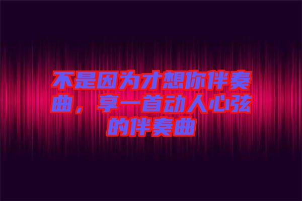 不是因為才想你伴奏曲，享一首動人心弦的伴奏曲