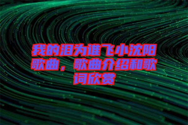 我的淚為誰(shuí)飛小沈陽(yáng)歌曲，歌曲介紹和歌詞欣賞