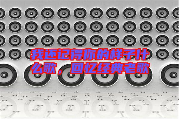 我還記得你的樣子什么歌，回憶經(jīng)典老歌
